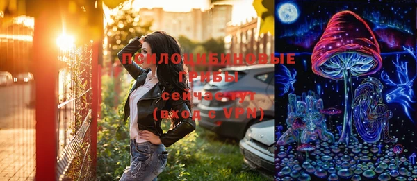 мдпв Козельск