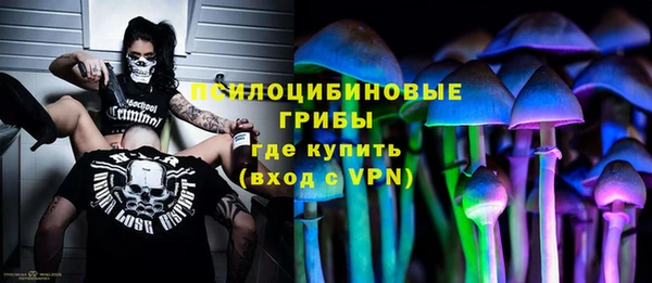 твердый Корсаков
