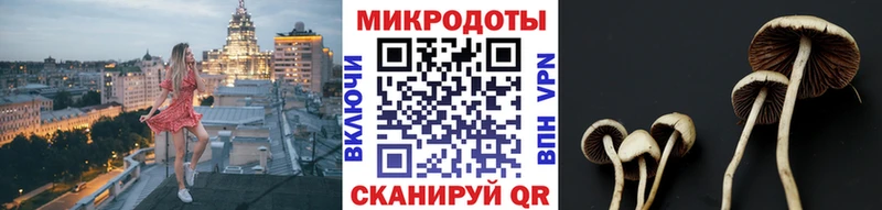Галлюциногенные грибы Psilocybe Ковылкино
